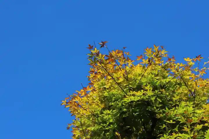 国宝 大法寺の自然
