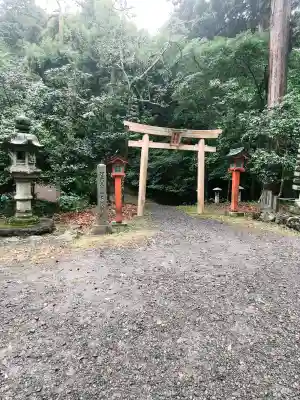 美濃國一宮　南宮大社の{uncategorized: "未分類", other: "その他", undefined: "問題あり", building: "その他建物", grave: "お墓", sacred_gate: "鳥居", guardian: "狛犬", statue: "像", buddha: "仏像", history: "歴史", nature: "自然", garden: "庭園", animal: "動物", pagoda: "塔", temizu: "手水舎", mountain_gate: "山門・神門", sanctuary: "本殿・本堂", subordinate: "末社・摂社", art: "芸術", scenery: "景色", jizo: "地蔵", ema: "絵馬", goshuin: "御朱印", omikuji: "おみくじ", items: "授与品その他", amulet: "お守り", goshuincho: "御朱印帳", eats: "食事", festival: "お祭り", votive_dance: "神楽", shichigosan: "七五三参", wedding: "結婚式", experience: "体験その他", initially: "初詣", around: "周辺", anti_infection: "感染症対策"}