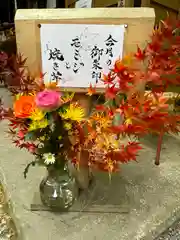 須山浅間神社(静岡県)