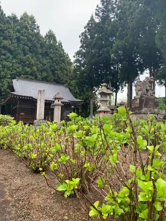 八幡神社の自然