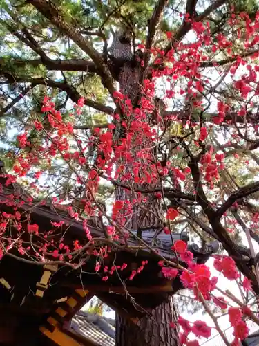 玄国寺(東京都)