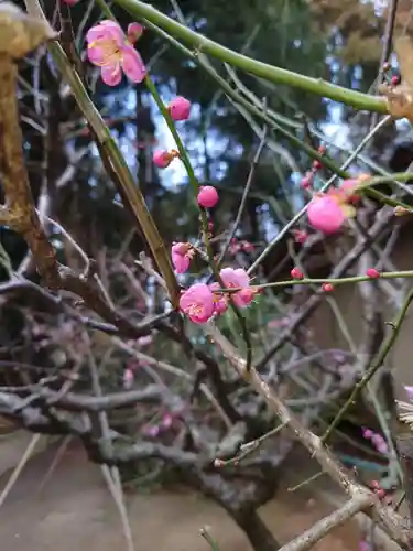 小林鳥見神社の自然