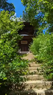 常寂光寺(京都府)