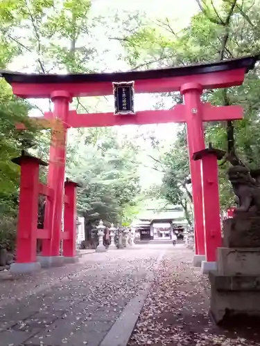 峯ヶ岡八幡神社の鳥居