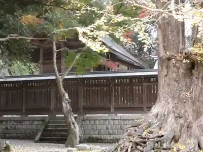 安房神社のその他建物