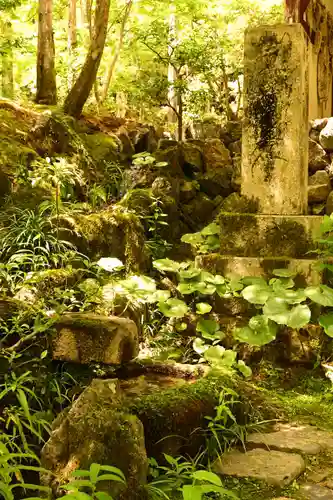 常寂光寺(京都府)