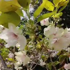 立志神社(滋賀県)