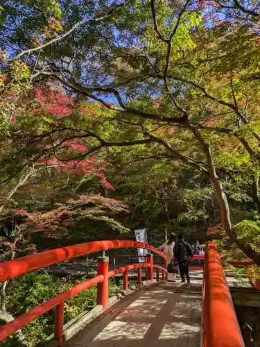 湯元 隻腕不動尊（伊香保温泉）の景色