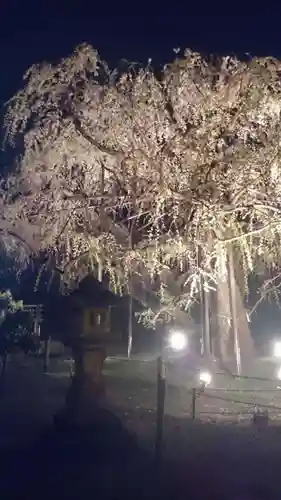 八幡社の末社・摂社