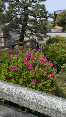 本法寺(京都府)