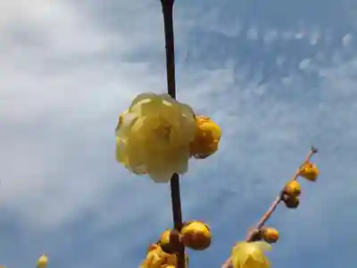 沙沙貴神社のその他建物
