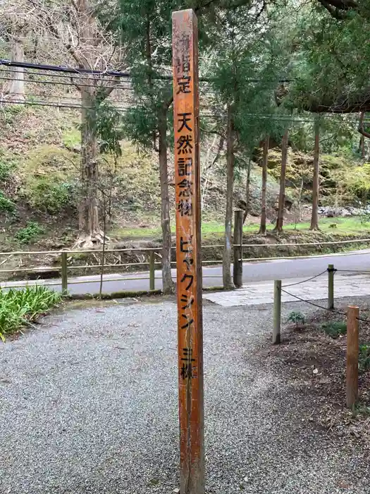 浄智寺の建物その他