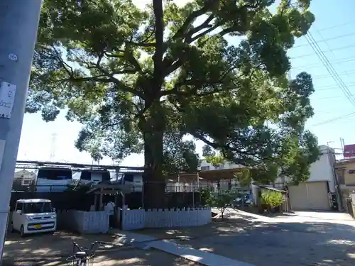 阿麻美許曽神社(大阪府)