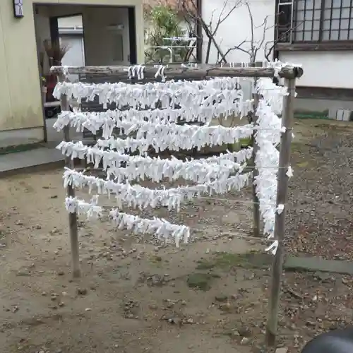 聖神社のおみくじ