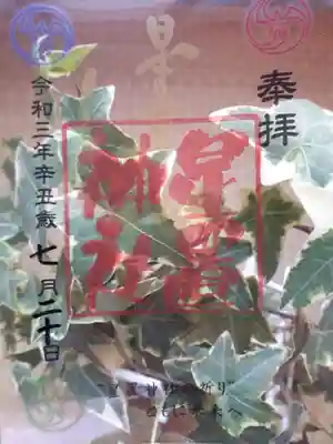 我が家のアイビー🌿で、こんな感じ?かなー