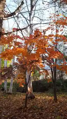赤井川神社(北海道)