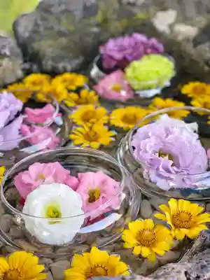 伊達神社の手水舎