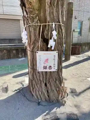 女躰大神の{uncategorized: "未分類", other: "その他", undefined: "問題あり", building: "その他建物", grave: "お墓", sacred_gate: "鳥居", guardian: "狛犬", statue: "像", buddha: "仏像", history: "歴史", nature: "自然", garden: "庭園", animal: "動物", pagoda: "塔", temizu: "手水舎", mountain_gate: "山門・神門", sanctuary: "本殿・本堂", subordinate: "末社・摂社", art: "芸術", scenery: "景色", jizo: "地蔵", ema: "絵馬", goshuin: "御朱印", omikuji: "おみくじ", items: "授与品その他", amulet: "お守り", goshuincho: "御朱印帳", eats: "食事", festival: "お祭り", votive_dance: "神楽", shichigosan: "七五三参", wedding: "結婚式", experience: "体験その他", initially: "初詣", around: "周辺", anti_infection: "感染症対策"}