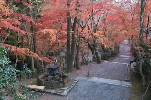 神峯山寺の自然