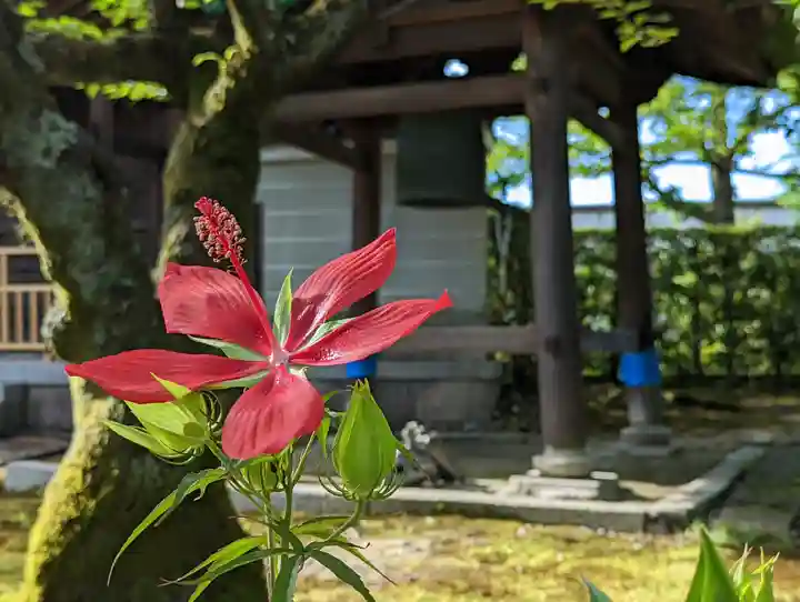 法金剛院の自然