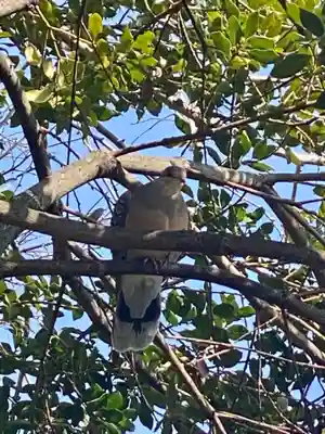 總神社天満宮（上賀茂神社境外社）(京都府)