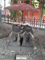 浅草神社の狛犬