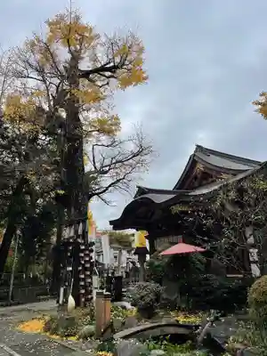 素盞雄神社(東京都)