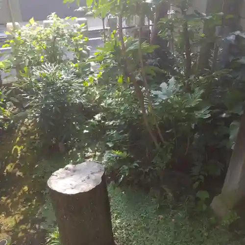 四谷於岩稲荷田宮神社の庭園