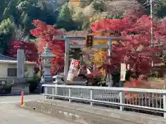 秩父御嶽神社(埼玉県)