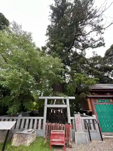 大杉神社(茨城県)