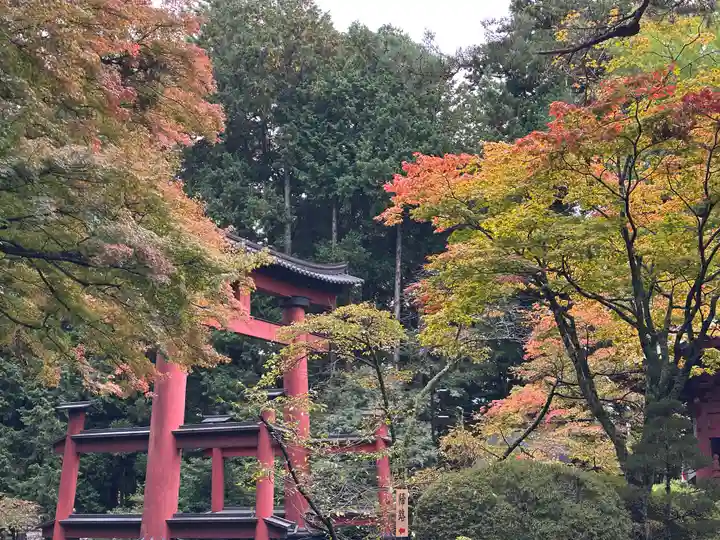 北口本宮冨士浅間神社(山梨県)