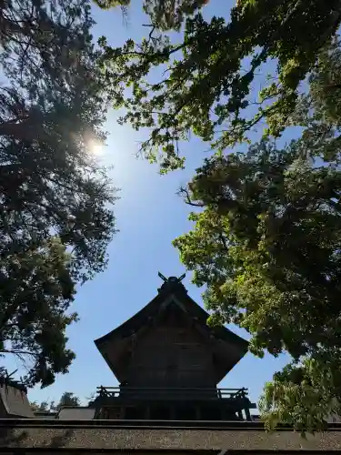 出雲大社(島根県)