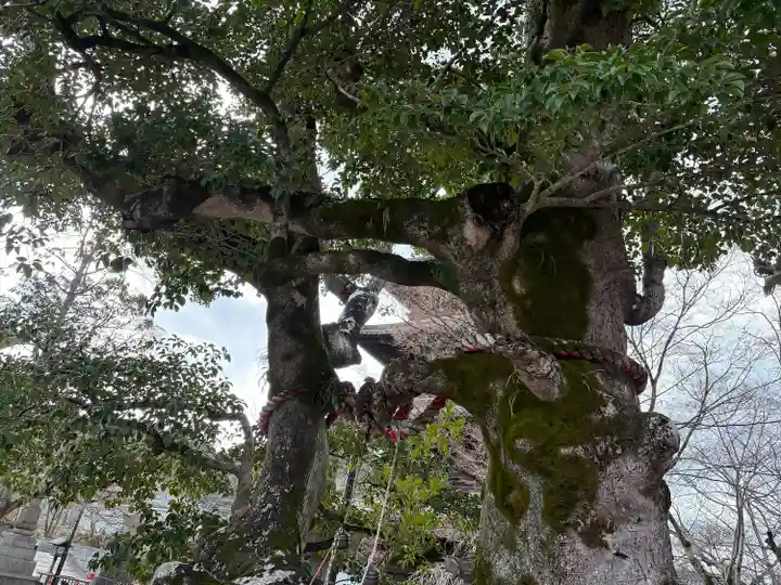 八事山 興正寺(愛知県)