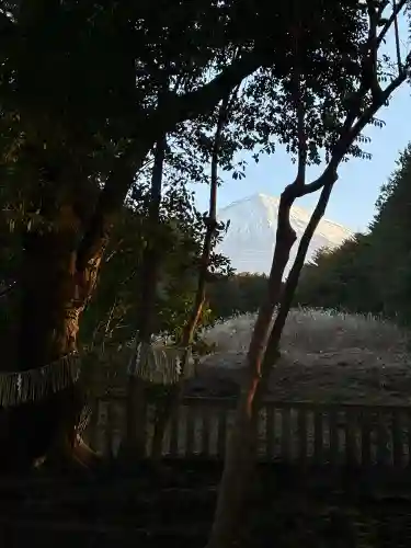 山宮浅間神社の{uncategorized: "未分類", other: "その他", undefined: "問題あり", building: "その他建物", grave: "お墓", sacred_gate: "鳥居", guardian: "狛犬", statue: "像", buddha: "仏像", history: "歴史", nature: "自然", garden: "庭園", animal: "動物", pagoda: "塔", temizu: "手水舎", mountain_gate: "山門・神門", sanctuary: "本殿・本堂", subordinate: "末社・摂社", art: "芸術", scenery: "景色", jizo: "地蔵", ema: "絵馬", goshuin: "御朱印", omikuji: "おみくじ", items: "授与品その他", amulet: "お守り", goshuincho: "御朱印帳", eats: "食事", festival: "お祭り", votive_dance: "神楽", shichigosan: "七五三参", wedding: "結婚式", experience: "体験その他", initially: "初詣", around: "周辺", anti_infection: "感染症対策"}