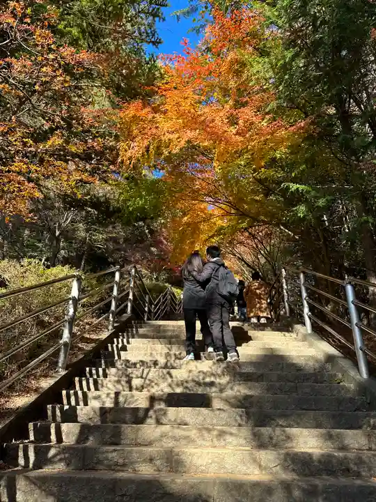 新倉富士浅間神社(山梨県)