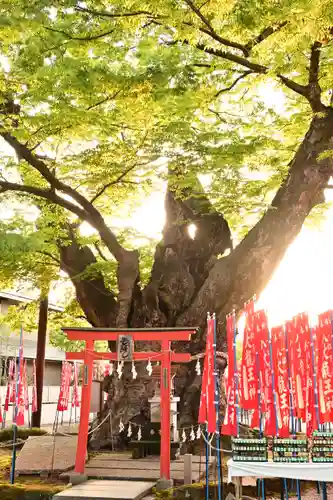 秩父今宮神社(埼玉県)