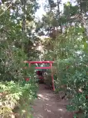 東菅稲荷神社の鳥居