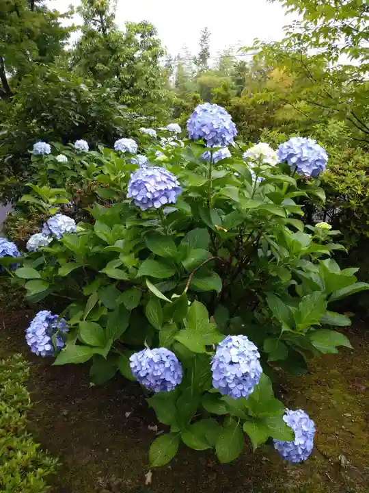 将軍塚青龍殿(青蓮院門跡)(京都府)