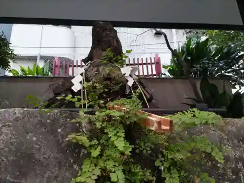 三崎稲荷神社の手水