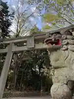 谷保天満宮の鳥居