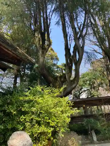 報徳二宮神社の{uncategorized: "未分類", other: "その他", undefined: "問題あり", building: "その他建物", grave: "お墓", sacred_gate: "鳥居", guardian: "狛犬", statue: "像", buddha: "仏像", history: "歴史", nature: "自然", garden: "庭園", animal: "動物", pagoda: "塔", temizu: "手水舎", mountain_gate: "山門・神門", sanctuary: "本殿・本堂", subordinate: "末社・摂社", art: "芸術", scenery: "景色", jizo: "地蔵", ema: "絵馬", goshuin: "御朱印", omikuji: "おみくじ", items: "授与品その他", amulet: "お守り", goshuincho: "御朱印帳", eats: "食事", festival: "お祭り", votive_dance: "神楽", shichigosan: "七五三参", wedding: "結婚式", experience: "体験その他", initially: "初詣", around: "周辺", anti_infection: "感染症対策"}
