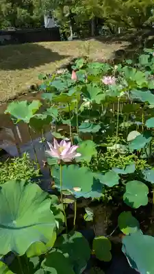  智積院(京都府)
