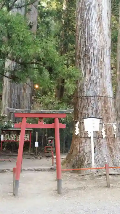 日光二荒山神社の鳥居