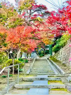 龍峰院(神奈川県)