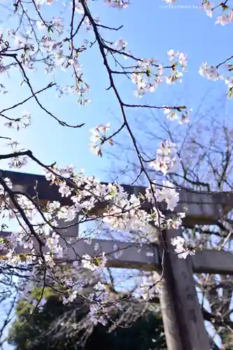 上野東照宮(東京都)