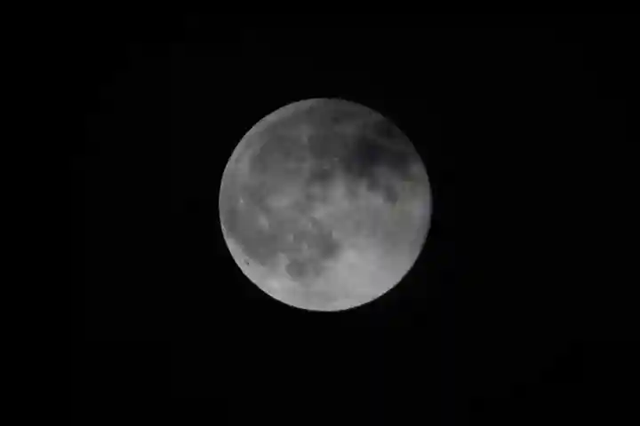 鹿島大神宮の自然