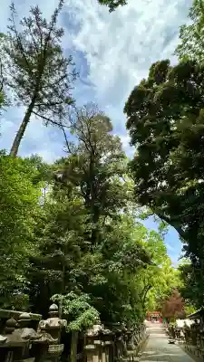石清水八幡宮(京都府)