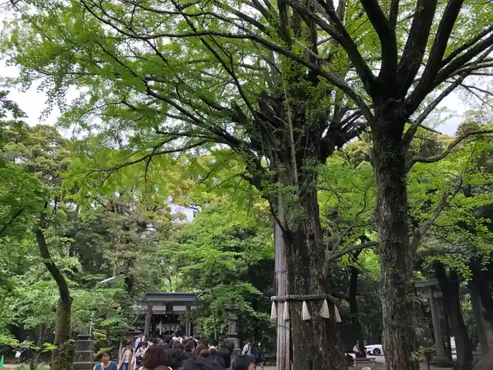 赤坂氷川神社のその他建物