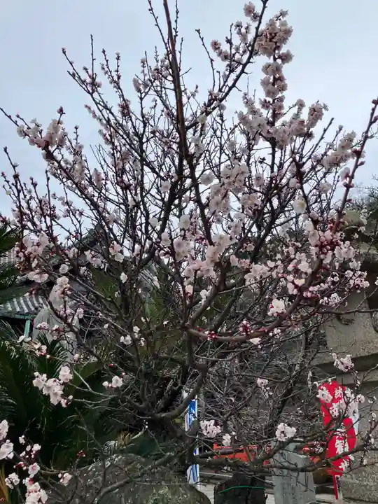 粉河寺(和歌山県)