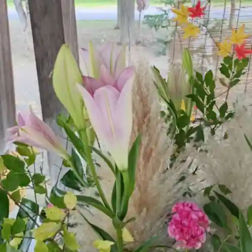 彌彦神社　(伊夜日子神社)(北海道)